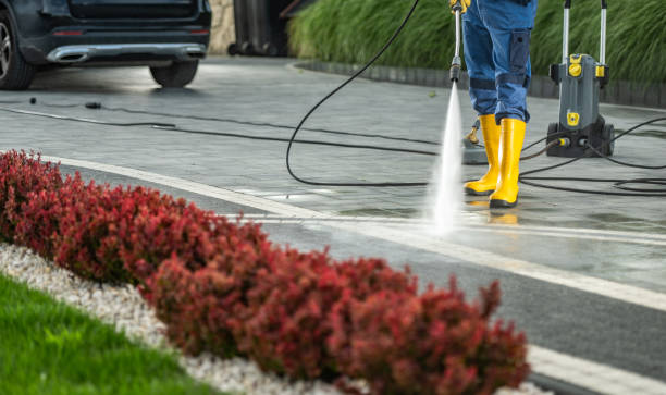 Best Graffiti Removal  in Webberville, MI